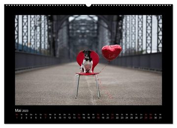 CALVENDO Wandkalender Jack Russell Terrier.....Ein Verwandlungskünstler namens Jake (Premium, hochwertiger DIN A2 Wandkalender 2023, Kunstdruck in Hochglanz)