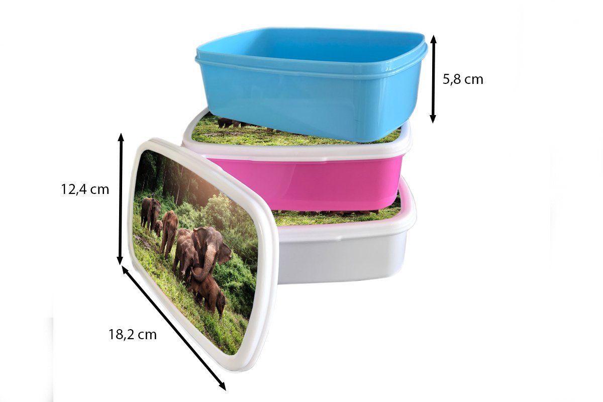 Lunchbox Grün, für Tiere und Erwachsene, Brotdose, Elefant weiß - Kinder Jungs Gras und Wald Mädchen (2-tlg), Brotbox Kunststoff, - - - für MuchoWow