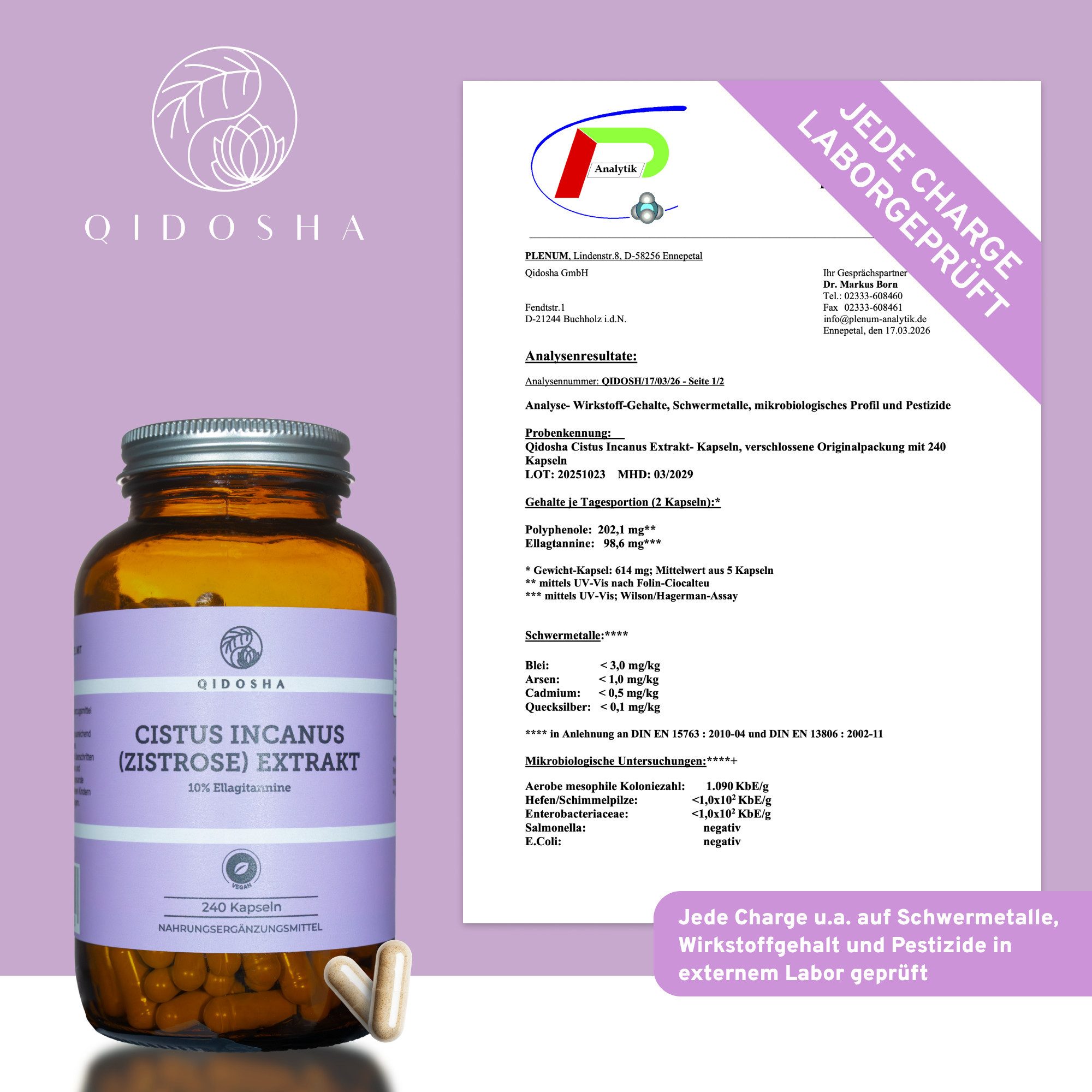 QIDOSHA Cistus incanus Zistrose Extrakt Kapseln Hartkapsel, 1 er 240 St., 144 g, Cistus-incanus-Extrakt mit Ellagitanninen