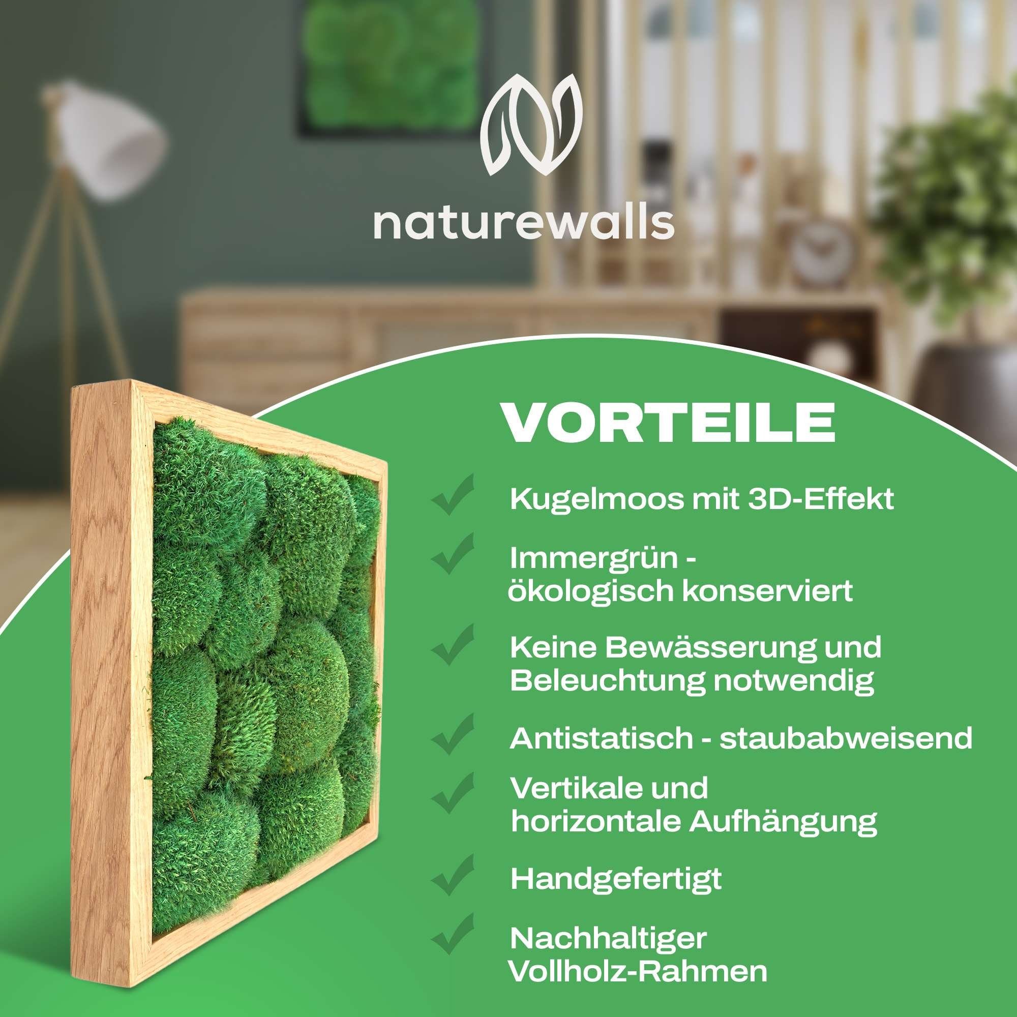 naturewalls Bild Moosbild Kugelmoos St), (geölt) Pflanzenbild - Vollholz-Rahmen - (1 Wandbild, Eiche konserviert