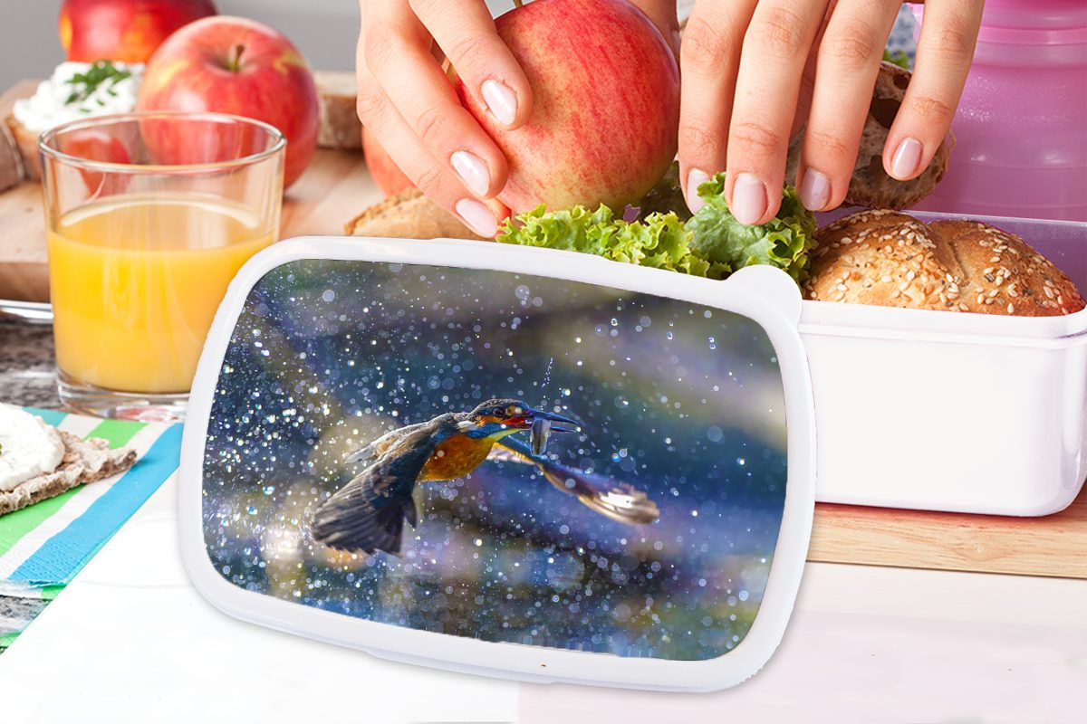 MuchoWow Lunchbox für Eisvogel und Jungs Kinder und weiß - Kunststoff, Brotdose, für Wasser Erwachsene, Brotbox Mädchen (2-tlg), - Fisch