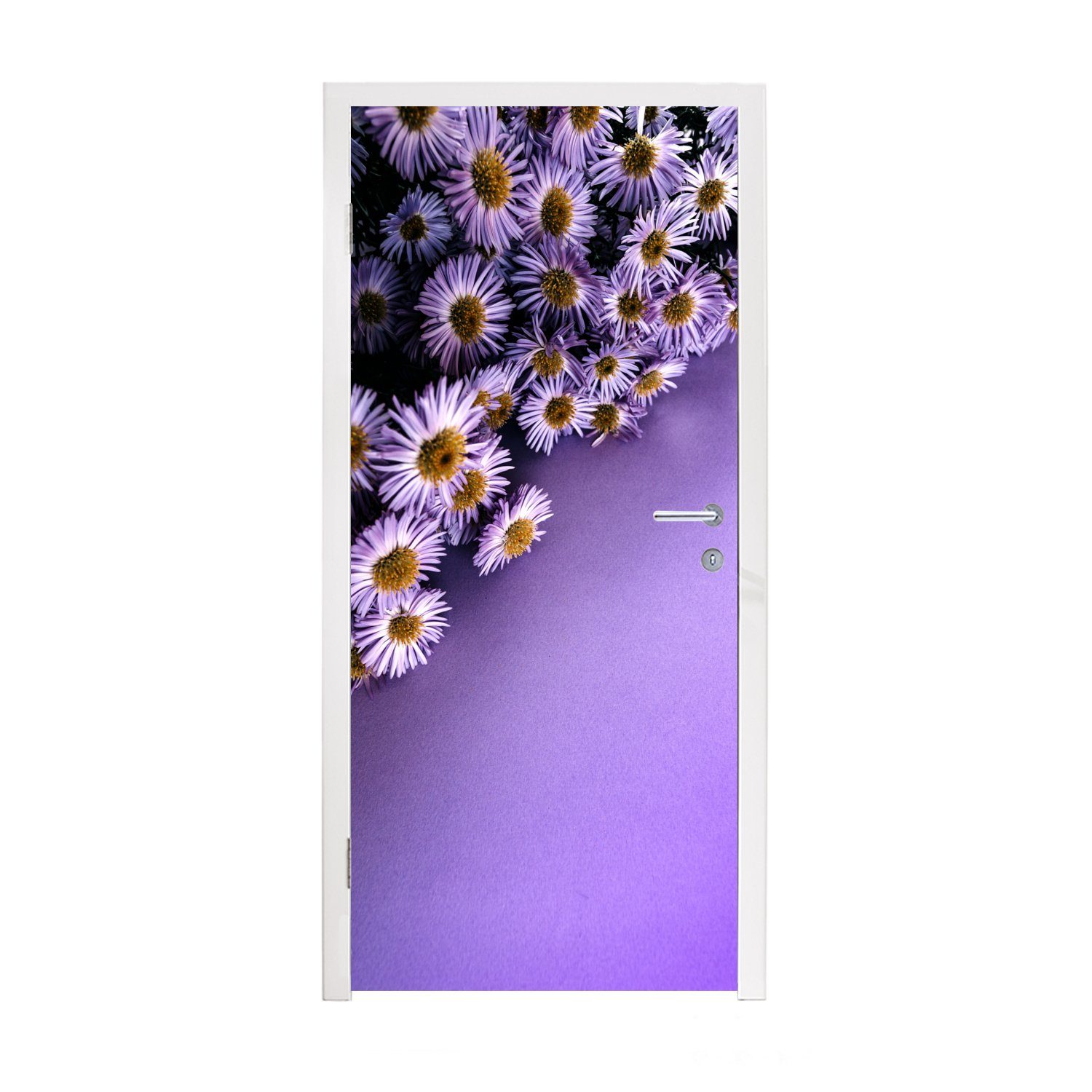 Tür, Türtapete Türaufkleber, für Fototapete St), Asterblüten cm Lila bedruckt, MuchoWow Ecke, (1 75x205 Matt, in der
