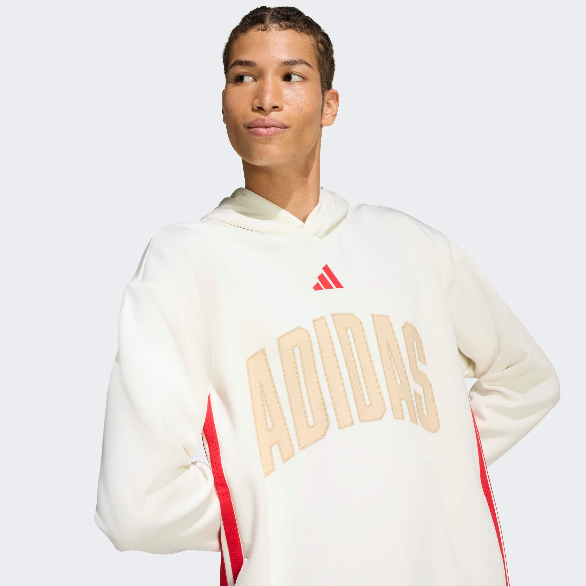 adidas Sportswear Kapuzensweatshirt STADIUM GRAPHIC HOODIE
