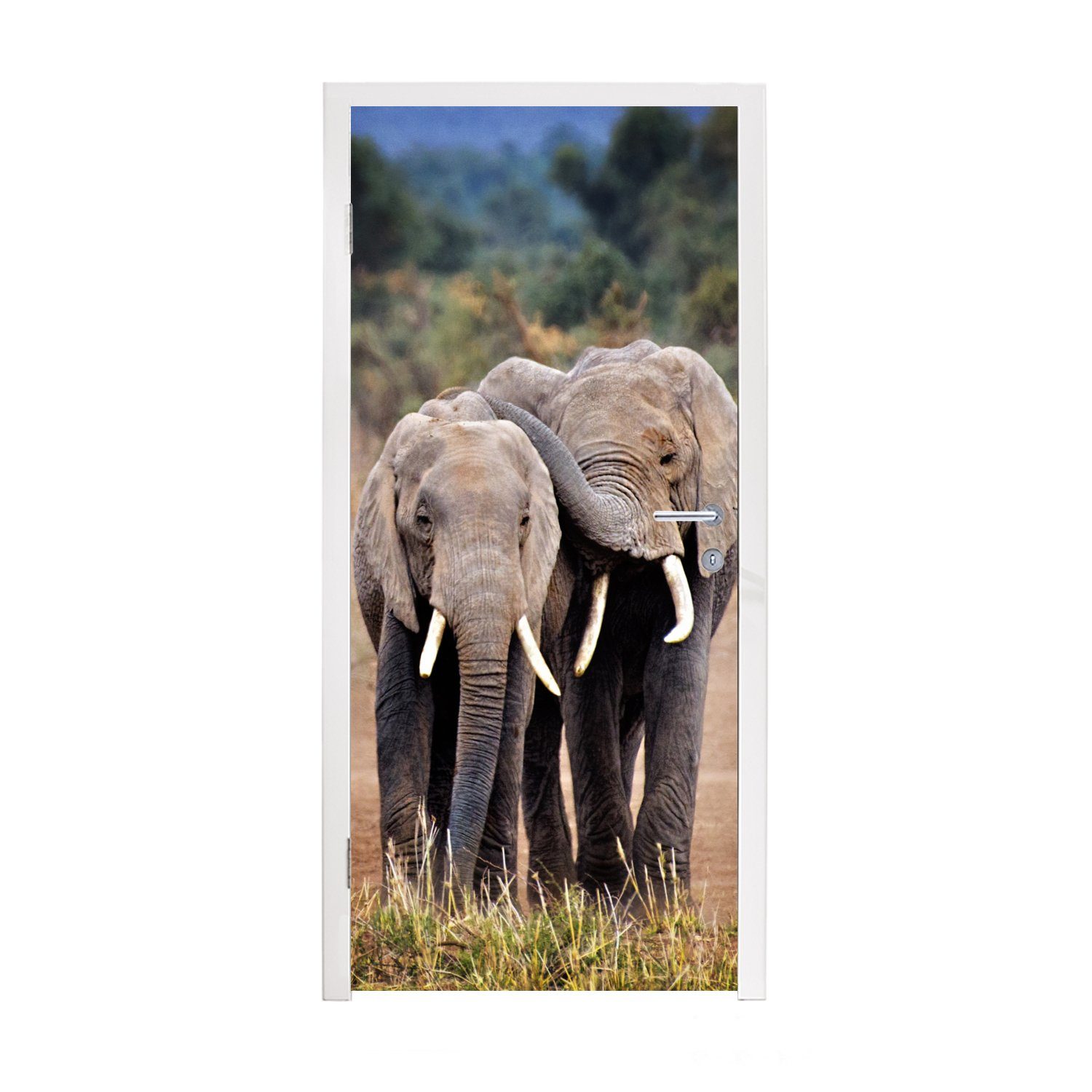 MuchoWow Türtapete Elefant 75x205 Bäume - - für Türaufkleber, - Natur, Tiere (1 Tür, Fototapete bedruckt, Matt, St), cm