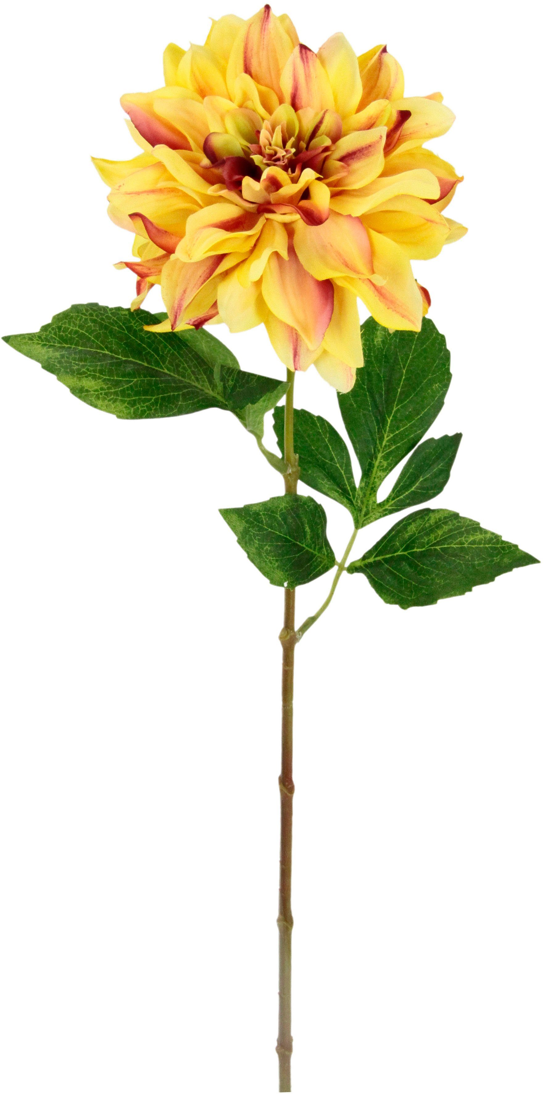 Kunstblume Dahlie, I.GE.A., Höhe 62 cm, günstig online kaufen
