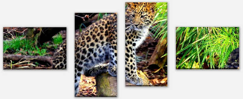 wandmotiv24 Mehrteilige Bilder Kleiner Leopard, Tiere (Set, 4 St), Wandbild, Wanddeko, Leinwandbilder in versch. Größen