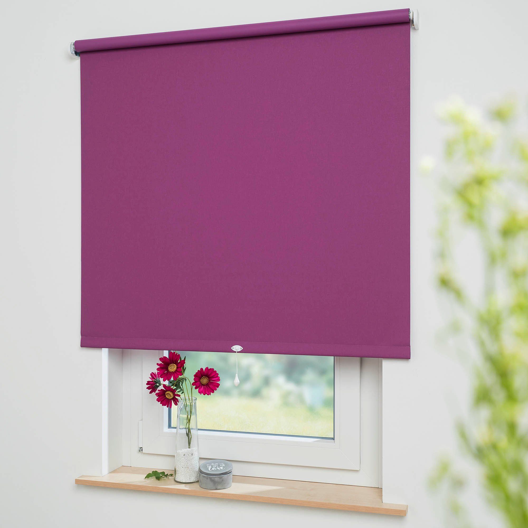 Liedeco Springrollo »Uni« verdunkelnd freihängend Verdunkelung günstig online kaufen