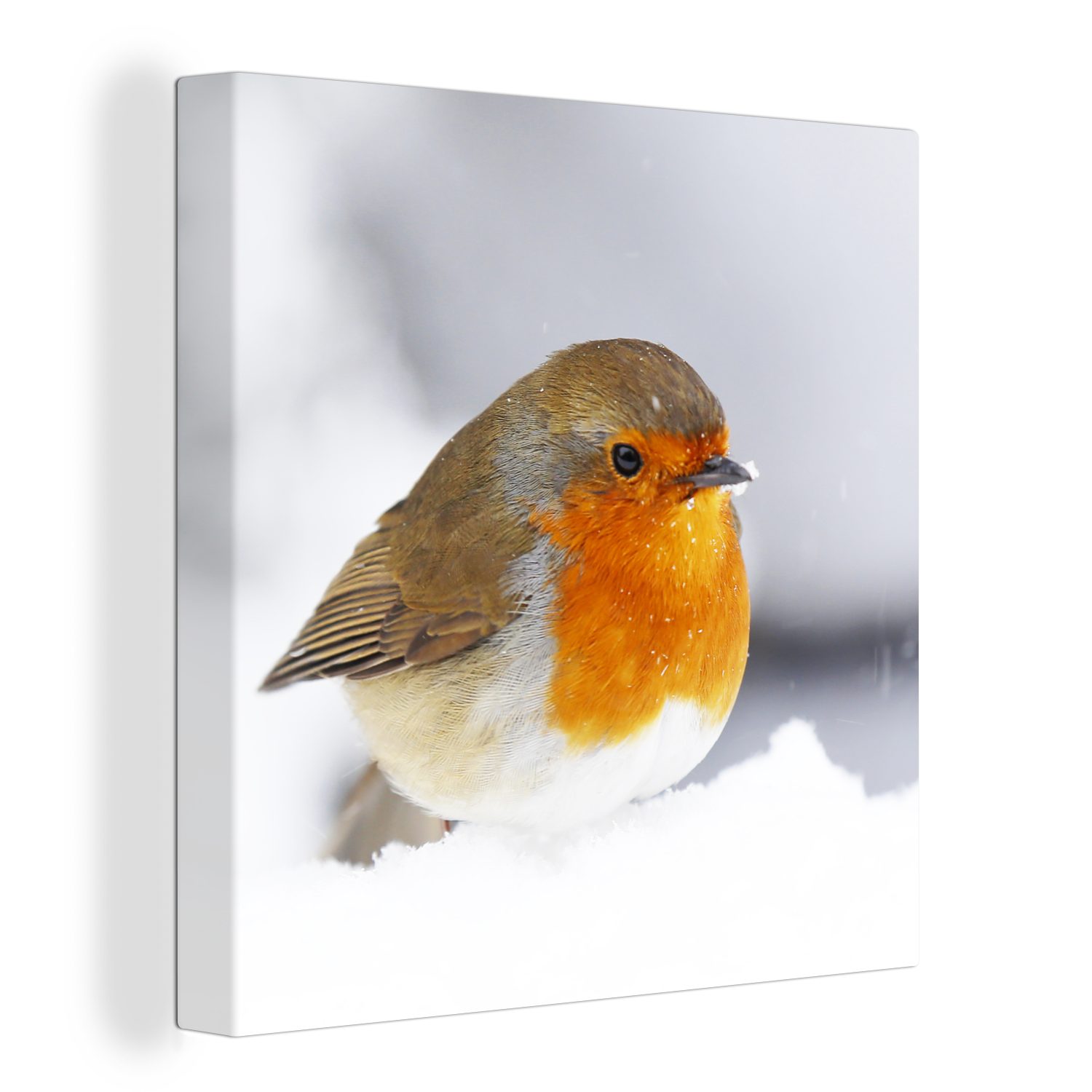 OneMillionCanvasses® Leinwandbild Rotkehlchen - Schnee - Vogel, (1 St), Leinwand Bilder für Wohnzimmer Schlafzimmer