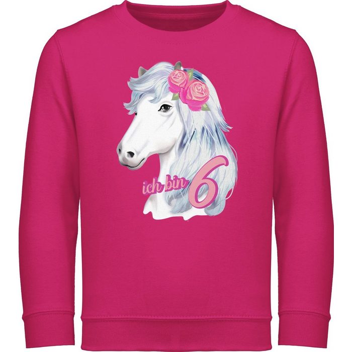 Shirtracer Sweatshirt Ich bin sechs Aquarell Pferd - 6. Geburtstag - Kinder Premium Pullover pulis für jungs - pullover mit 6 - kinder polovers mädchen