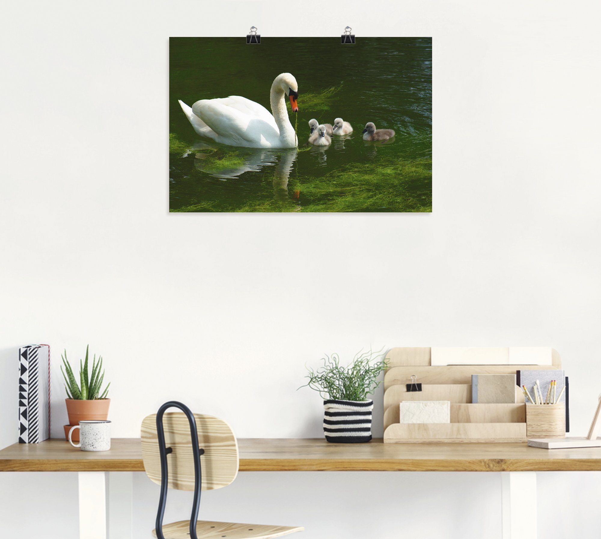 Poster Vögel oder Leinwandbild, Artland in Wandaufkleber Größen Familie, St), (1 Wandbild versch. als Schwanen Alubild,