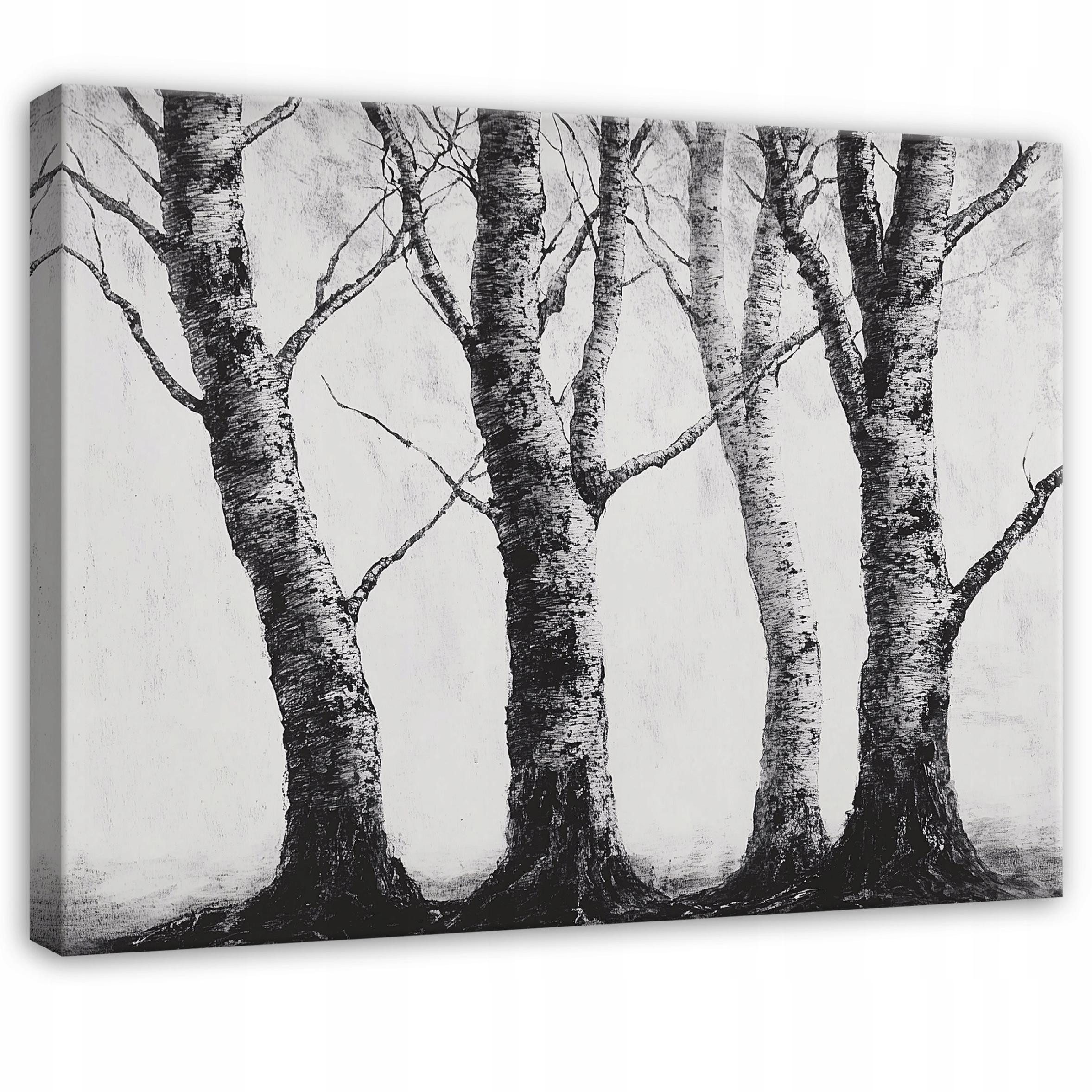 Wallarena Leinwandbild Wald Bäume - Grau - Modern - Wohnzimmer, Wald, 40x30x2cm