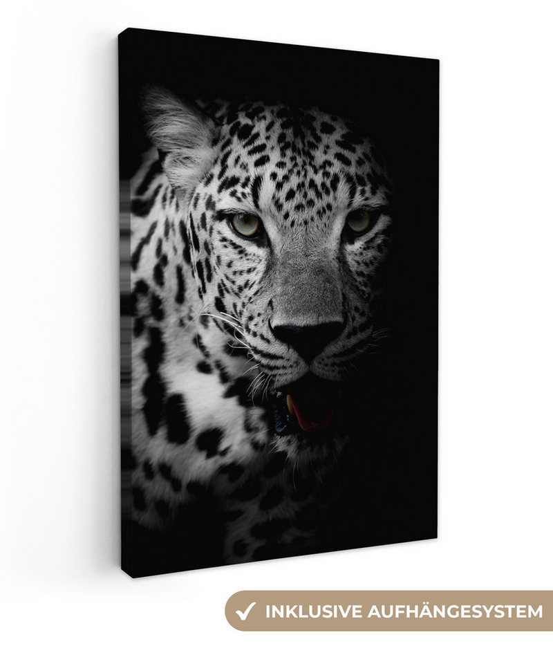 OneMillionCanvasses® Leinwandbild Tiere - Schwarz - Weiß - Panther - Porträt, Fotodruck (1 St), Leinwand Canvas Wandbild, Wanddekoration 20x30 cm