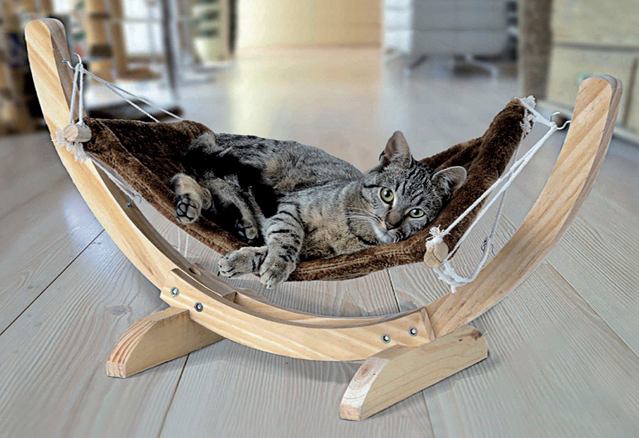 SILVIO design Katzen-Hängematte »Cat-Relax« kaufen | OTTO