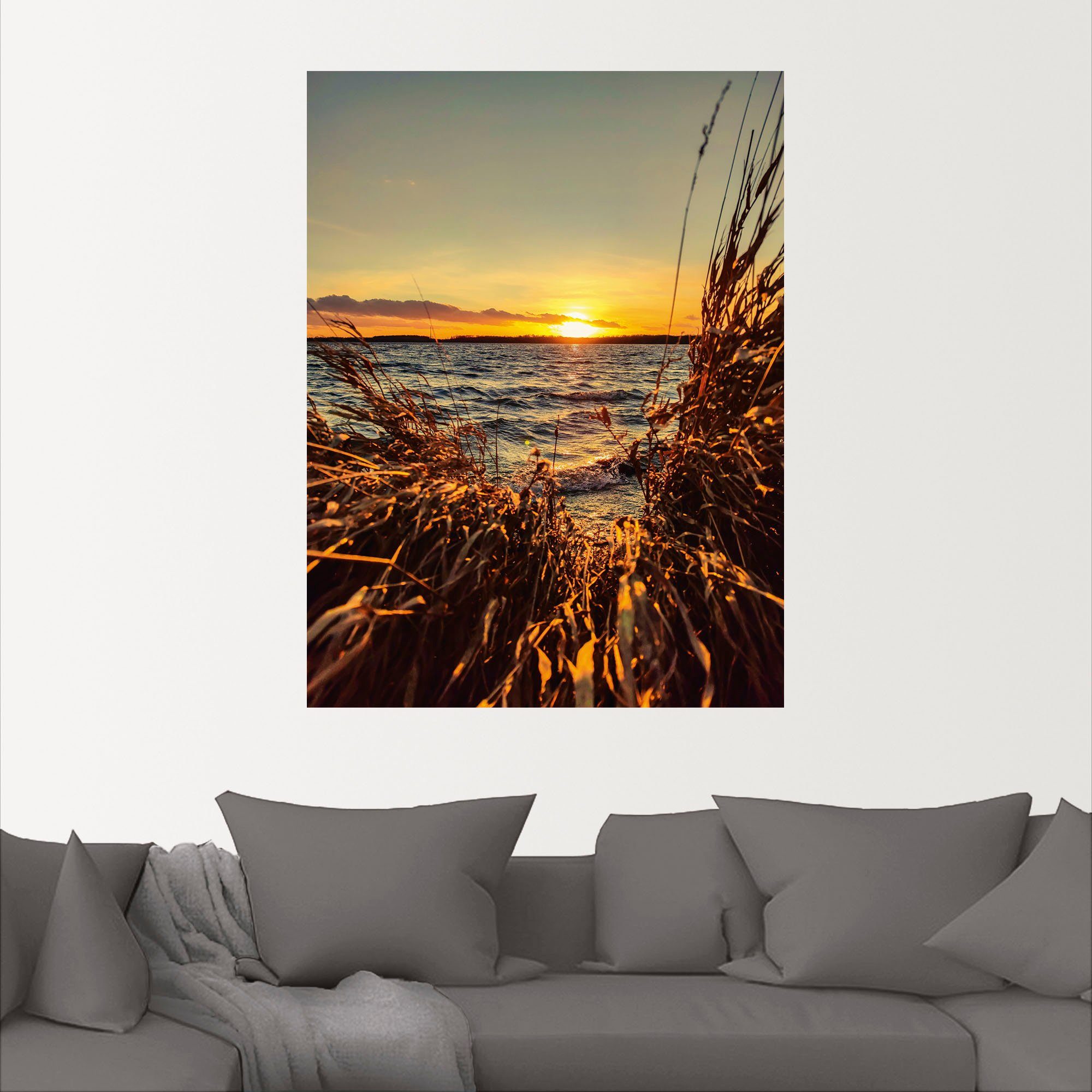 orange Poster oder in am Gewässer St), Wandaufkleber Alubild, als Größen See versch. im Artland Wandbild Schilf, Sonnenuntergang Leinwandbild, (1