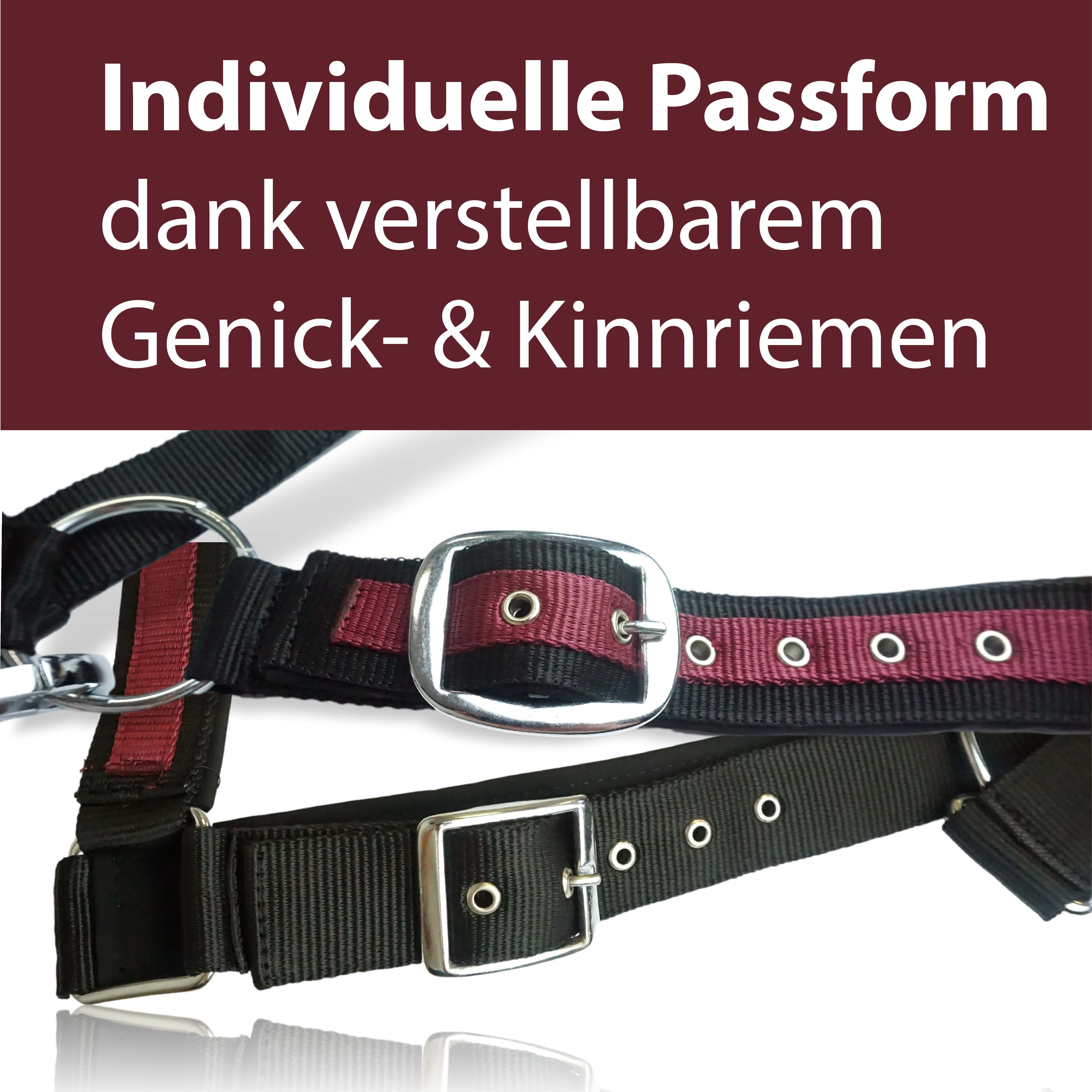 Pferdelinis Halfter Halfter für Pferde Kaltblut, xfull, 2 Fach verstellbar, zweifach verstellbar