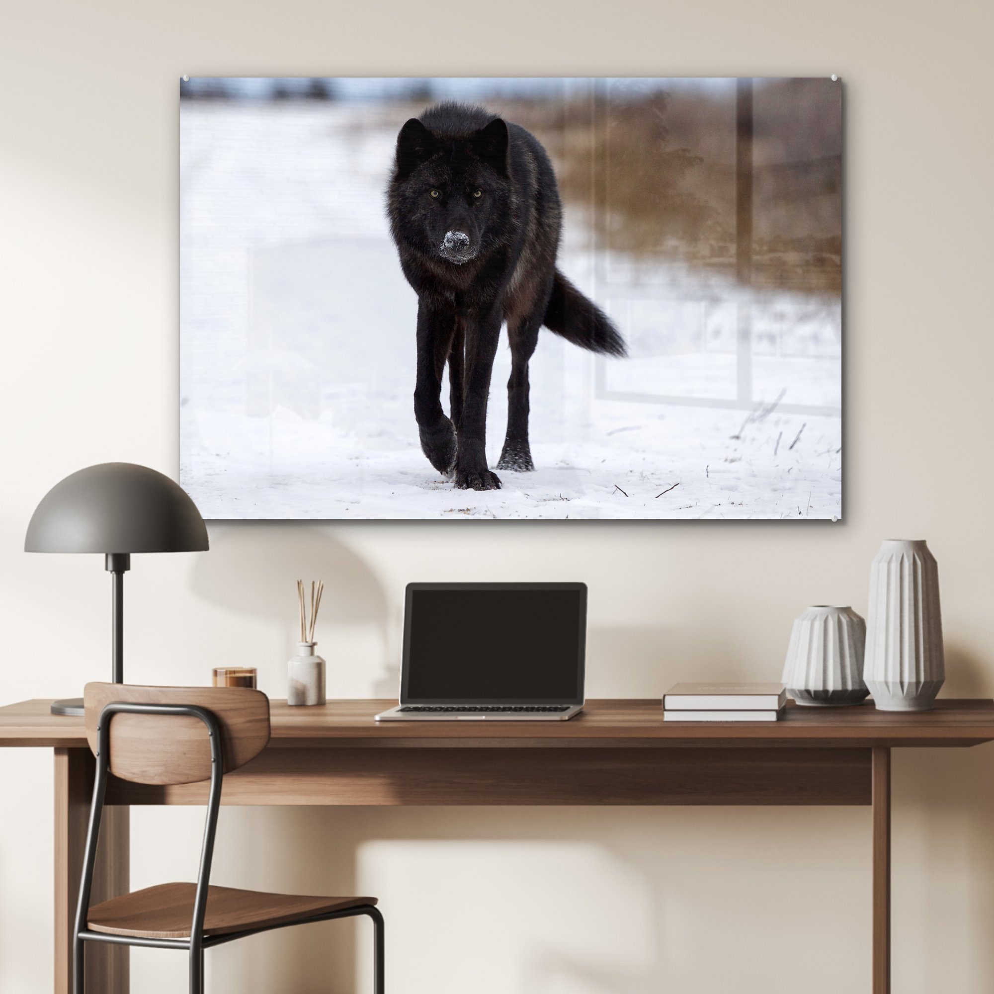 Acrylglasbilder - Wohnzimmer Schnee - Schwarz, St), Acrylglasbild (1 & MuchoWow Schlafzimmer Wolf