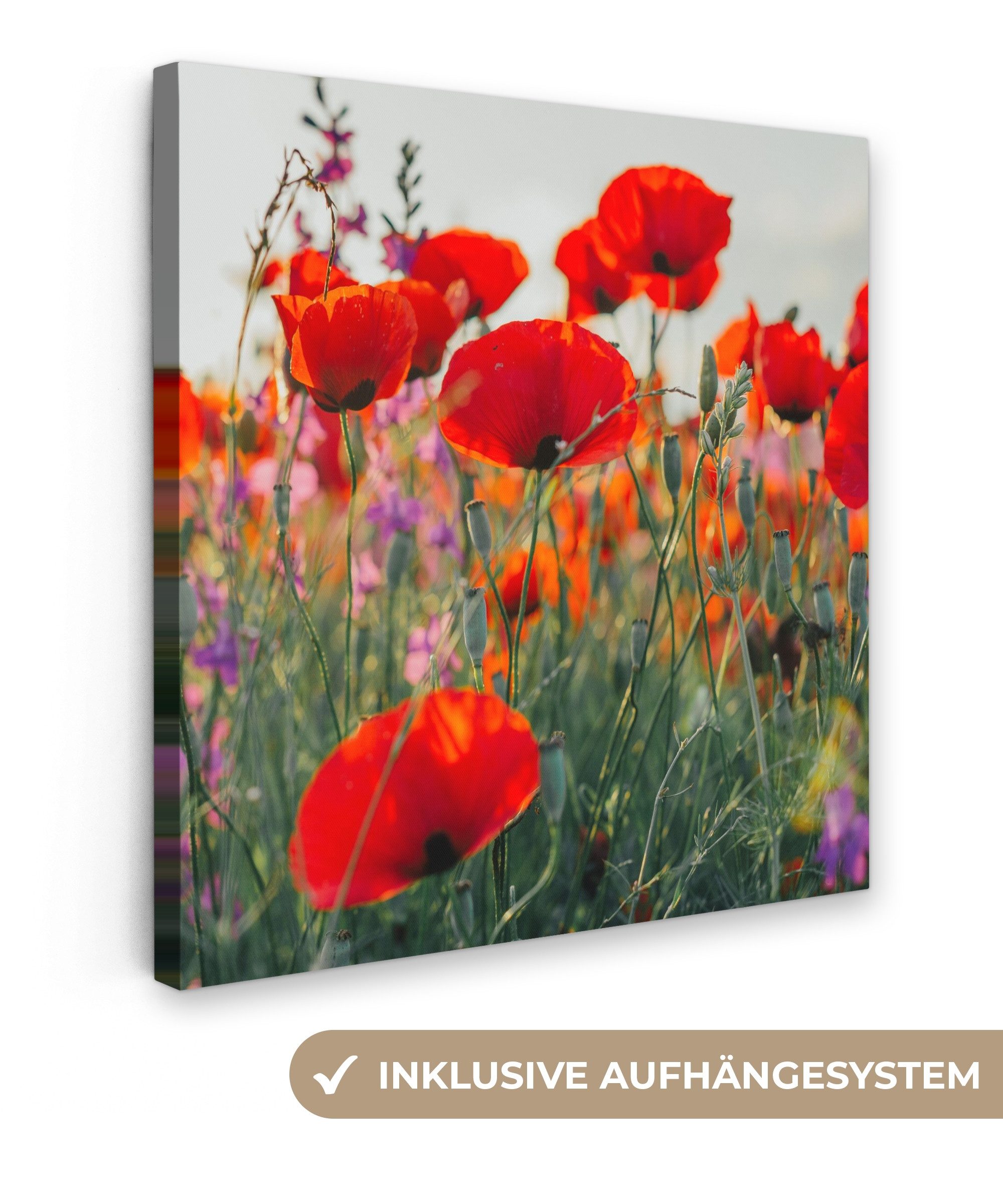 OneMillionCanvasses® Leinwandbild Mohn - Blumen - Rot - Lila - Wiese, Fotod günstig online kaufen