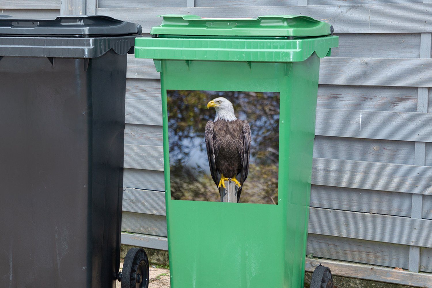 Wandsticker einer Sticker, Seite Weißkopfseeadler zur (1 Mülleimer-aufkleber, Container, Abfalbehälter Stange auf Mülltonne, MuchoWow St), Ein schaut