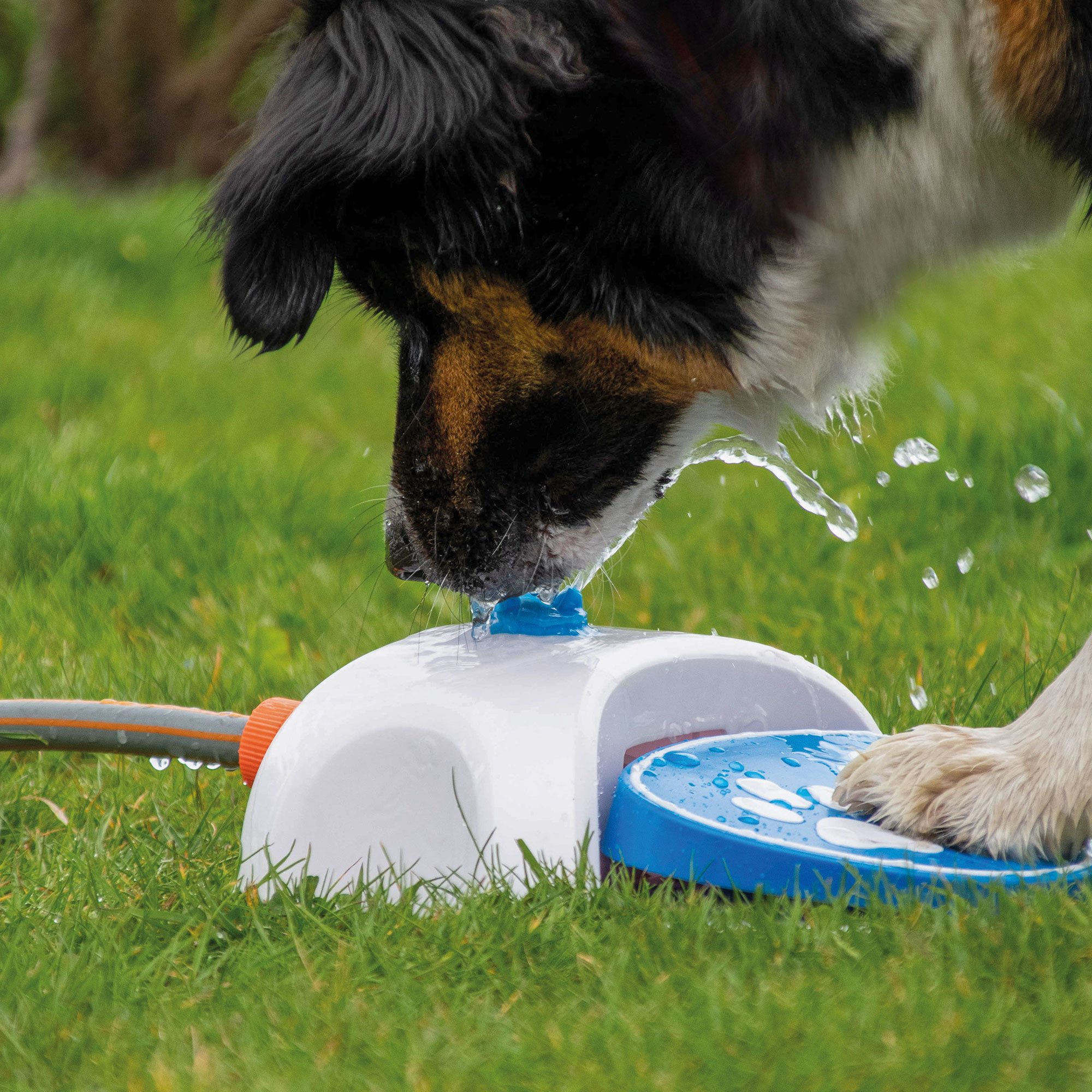 PETGARD Trinkbrunnen Gartenbrunnen für Hunde - Trinkbrunnen