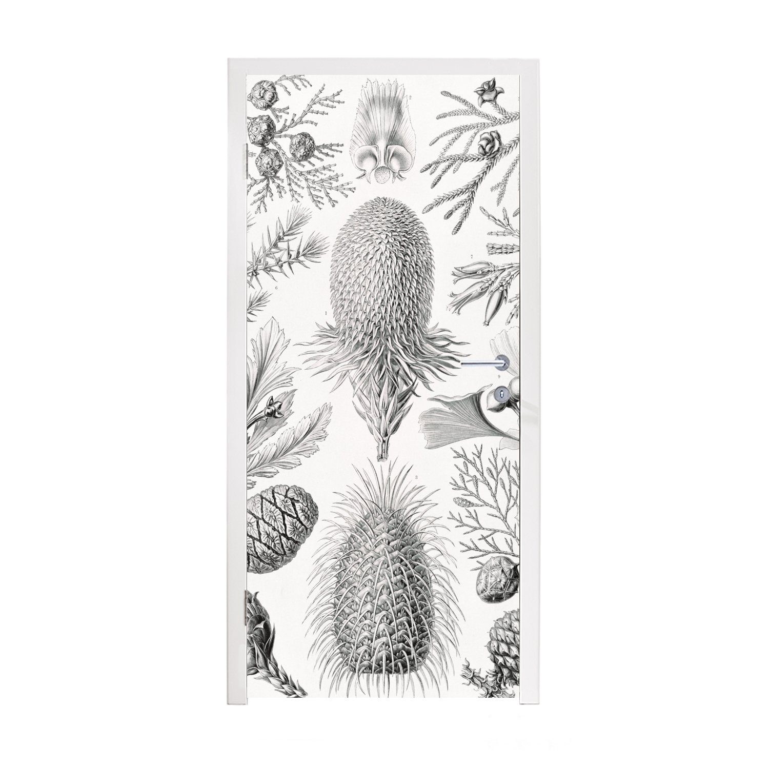 MuchoWow Türtapete Koniferen - Ernst Haeckel - Kunst - Retro - Illustration - Natur, Matt, bedruckt, (1 St), Fototapete für Tür, Türaufkleber, 75x205 cm