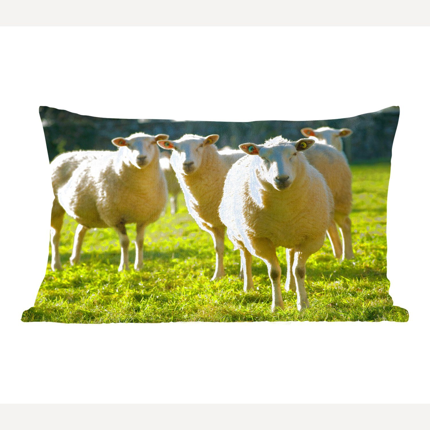 MuchoWow Dekokissen Schafe - Tiere - Wolle, Wohzimmer Dekoration, Zierkissen, Dekokissen mit Füllung, Schlafzimmer