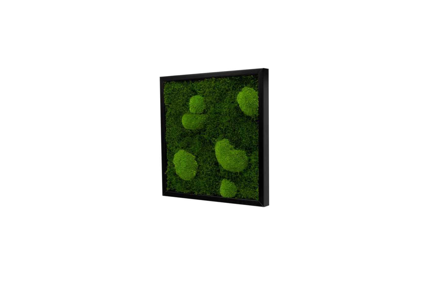 Moos-Design Bilderrahmen Moos Bild Forest Design günstig online kaufen