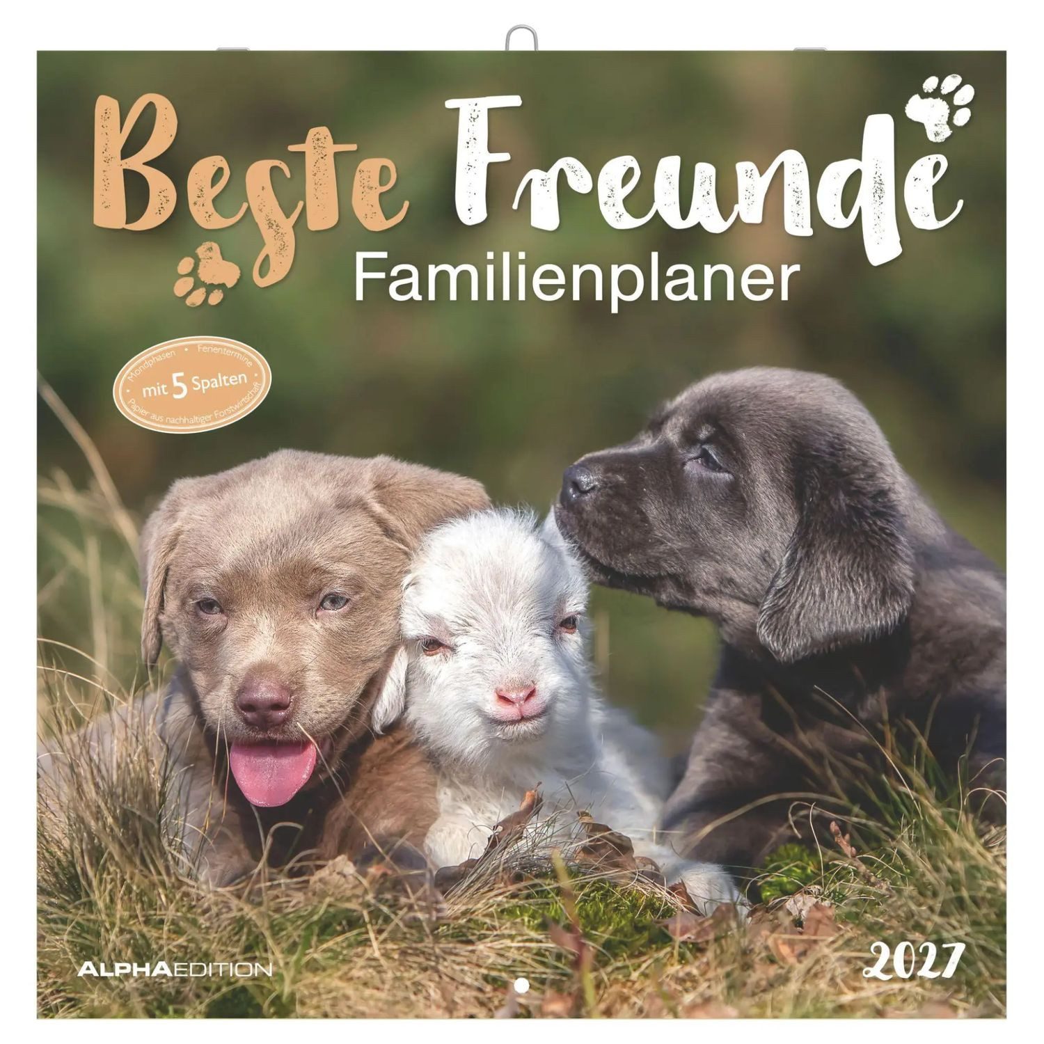 NEUMANN Wandkalender Familienplaner Beste Freunde 2027