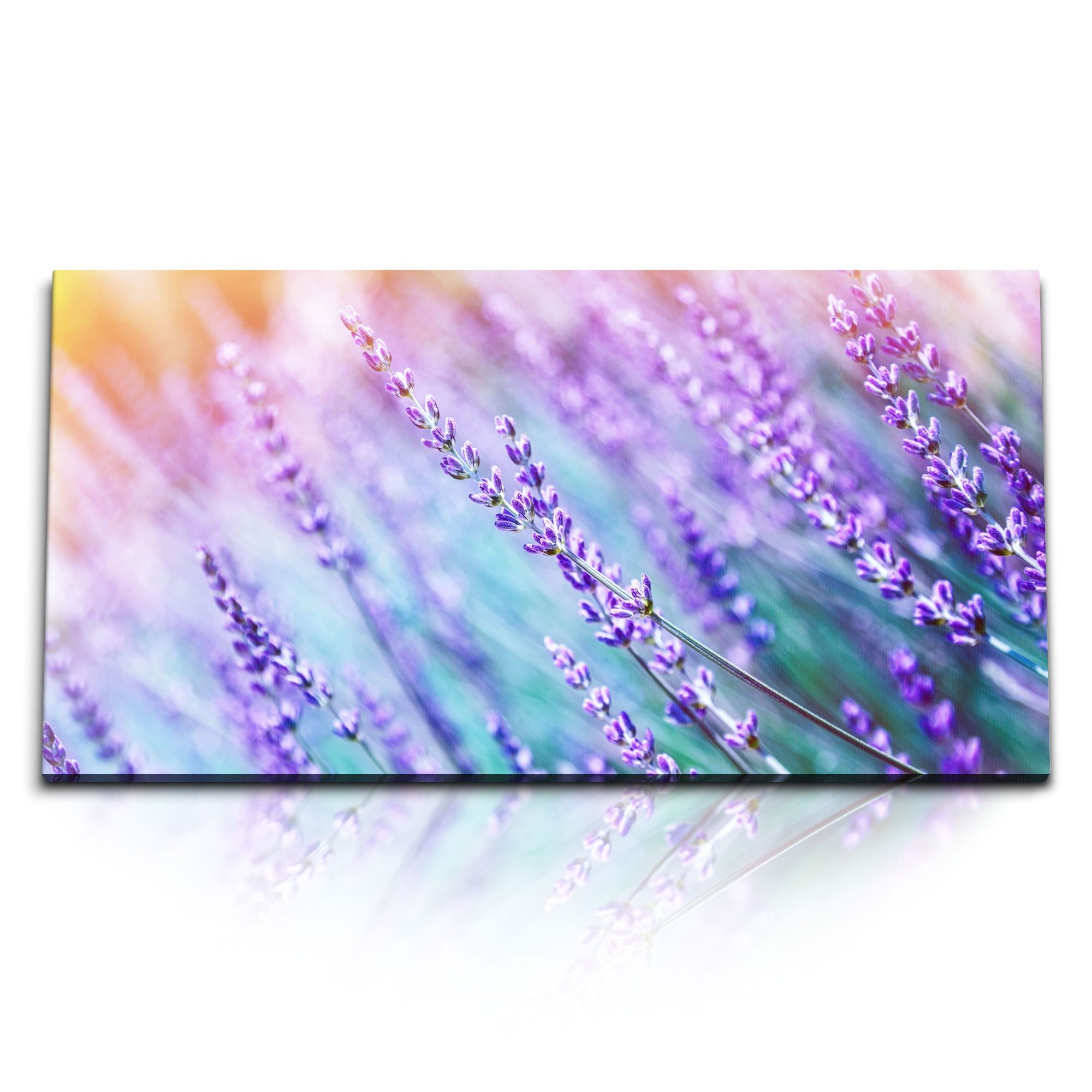 Leinwandbild Kunstdruck Bilder 120x60cm Lavendel Lavendelfeld Blau Natur Blumen