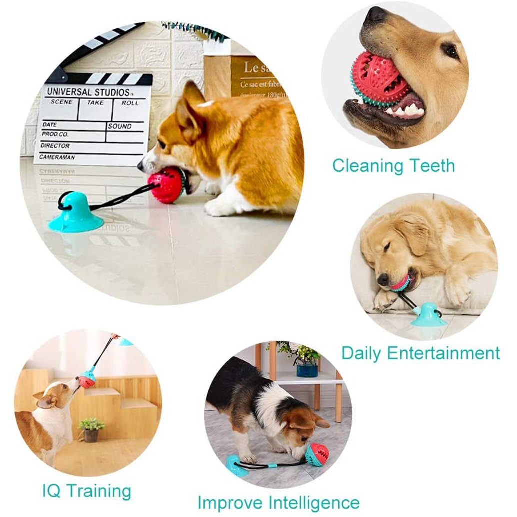 IVSO Tierball »Hundespielzeug Mit Saugnapf,Hund Spielzeug Hund,Multifunktion  Pet Molar Biss Spielzeug,Dog Interactive Molar Beißringe,Pet Molar Bite  Toy,Reinigung ZäHne Kugel« online kaufen | OTTO