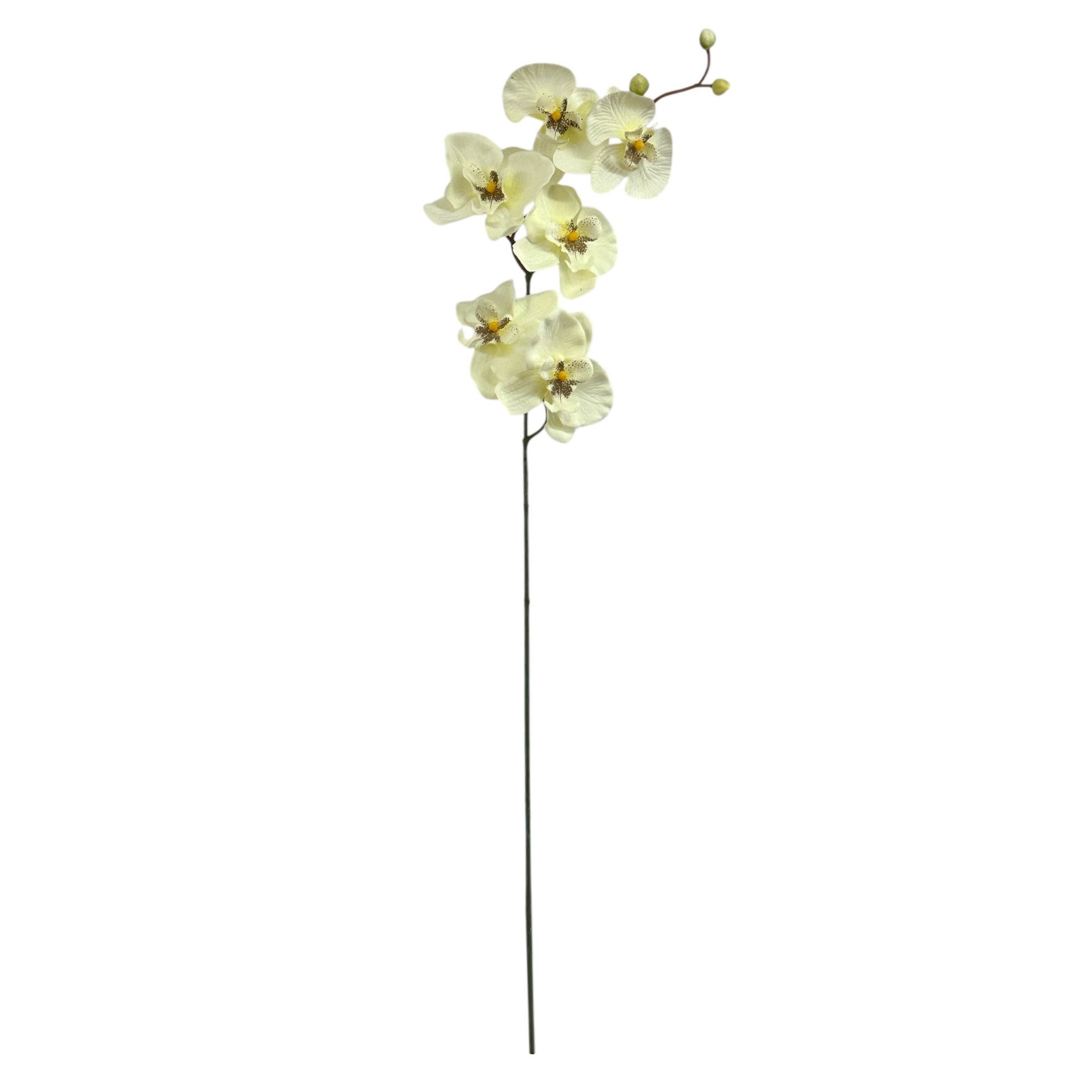Kunstorchidee Kunstblume, ORCHIDEENZWEIG, Orchidee 78cm, Gasper, Höhe 78.00 cm
