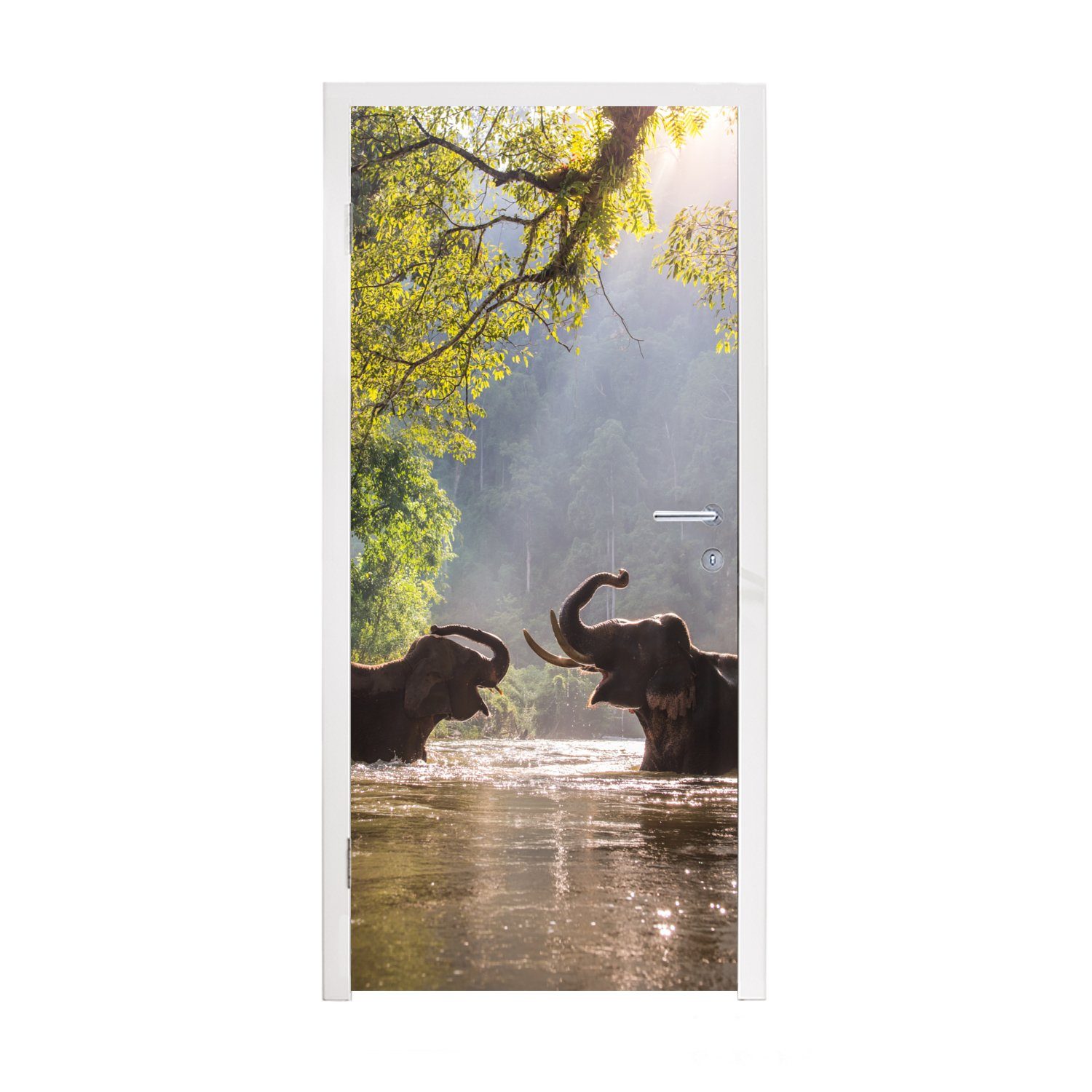 MuchoWow Türtapete Elefanten in der Sonne spielen, Matt, bedruckt, (1 St), Fototapete für Tür, Türaufkleber, 75x205 cm