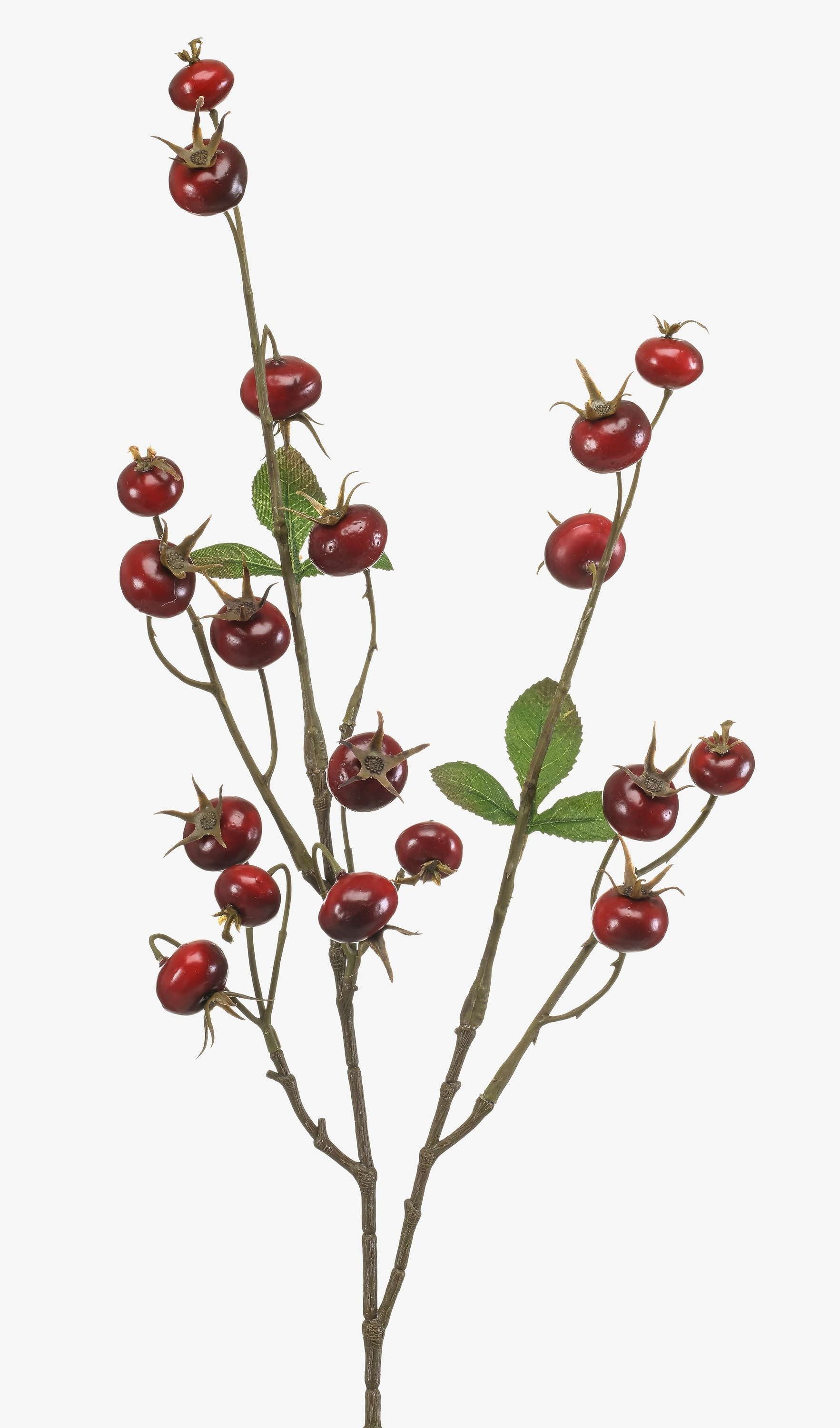Kunstzweig Kartoffelrose BREVON mit Hagebutten, rot, 80cm Hagebutte (Kartoffelrose), artplants, Höhe 80.0 cm