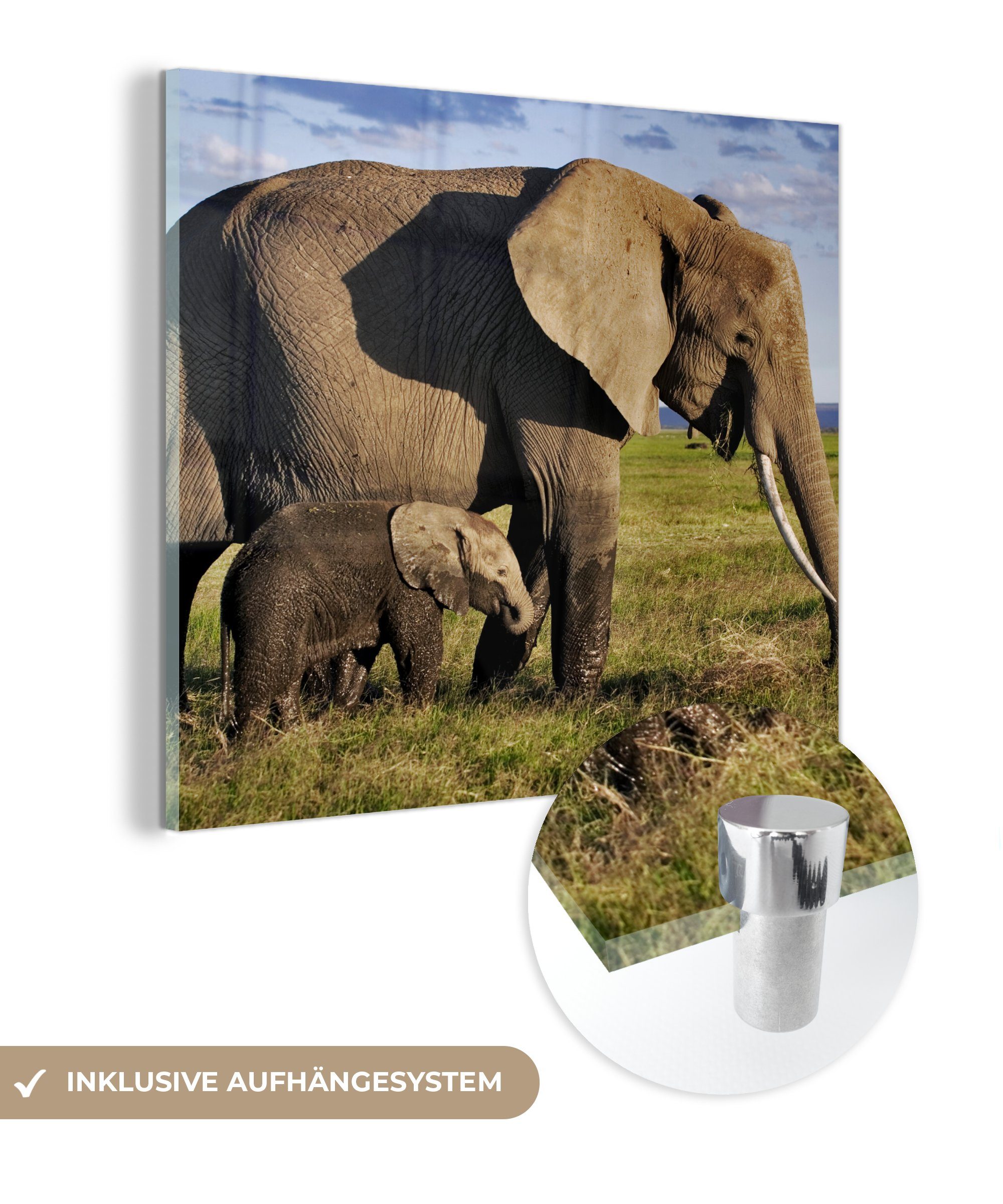 MuchoWow Acrylglasbild Elefant - Tiere - Grasland - Grün - Grau, (1 St), Glasbilder - Bilder auf Glas Wandbild - Foto auf Glas - Wanddekoration