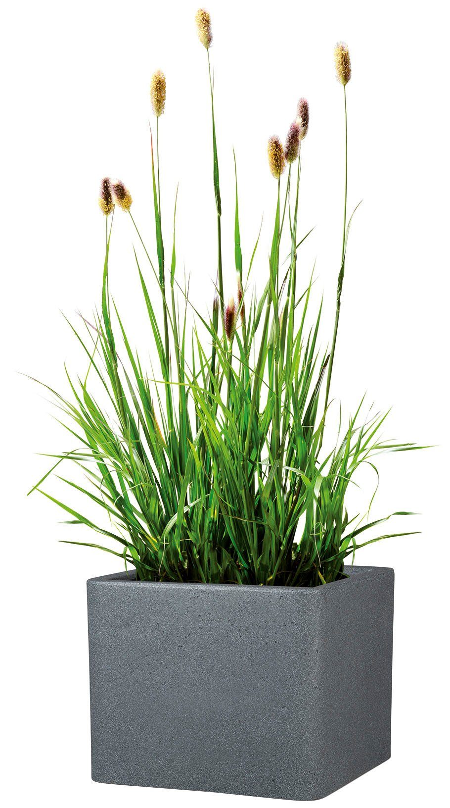 Scheurich Blumentopf 40/140 ALEA UET