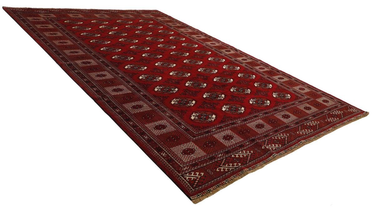 Turkaman Handgeknüpfter / Höhe: mm Orientteppich Orientteppich Trading, Nain Perserteppich, rechteckig, 6 257x376