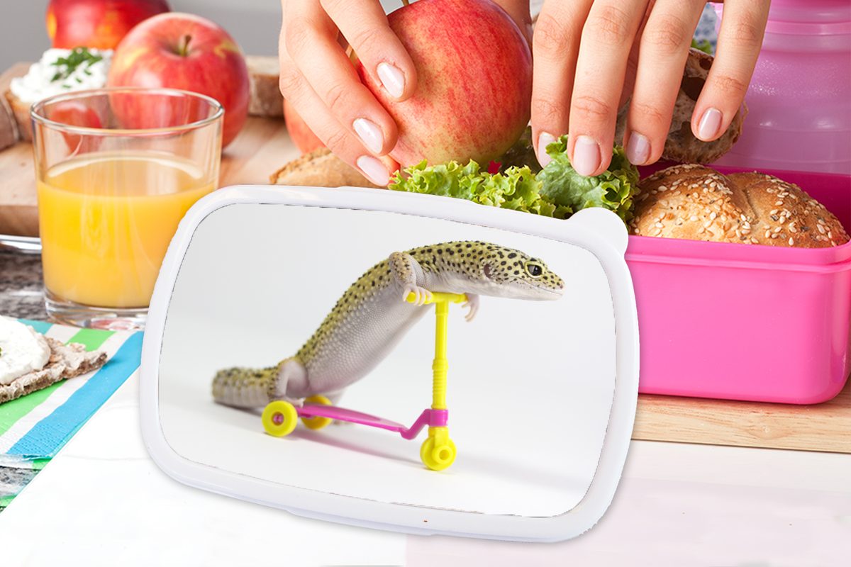 rosa Erwachsene, Kinder, Kunststoff, (2-tlg), MuchoWow einem auf Lunchbox für Brotbox Gecko Snackbox, Motorroller, Kunststoff Mädchen, Brotdose