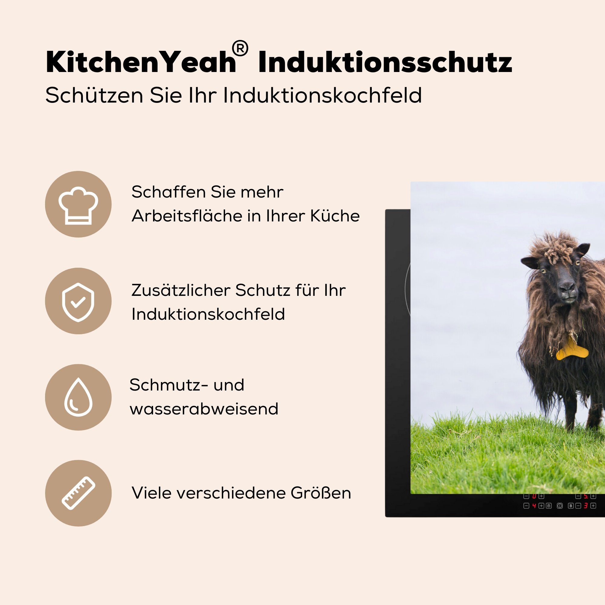 Induktionskochfeld die - Vinyl, MuchoWow Meer, Schutz Braun Herdblende-/Abdeckplatte 81x52 Ceranfeldabdeckung - Schafe für tlg), küche, (1 cm,