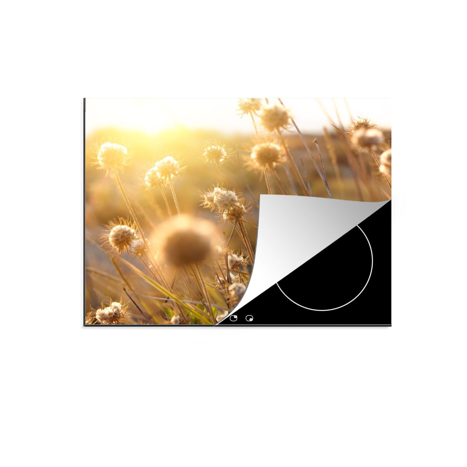 MuchoWow Herdblende-/Abdeckplatte Pflanzen - Natur - Blumen - Sonne - Horizont, Vinyl, (1 tlg), 59x51 cm, Induktionsschutz, Induktionskochfeld, Ceranfeldabdeckung