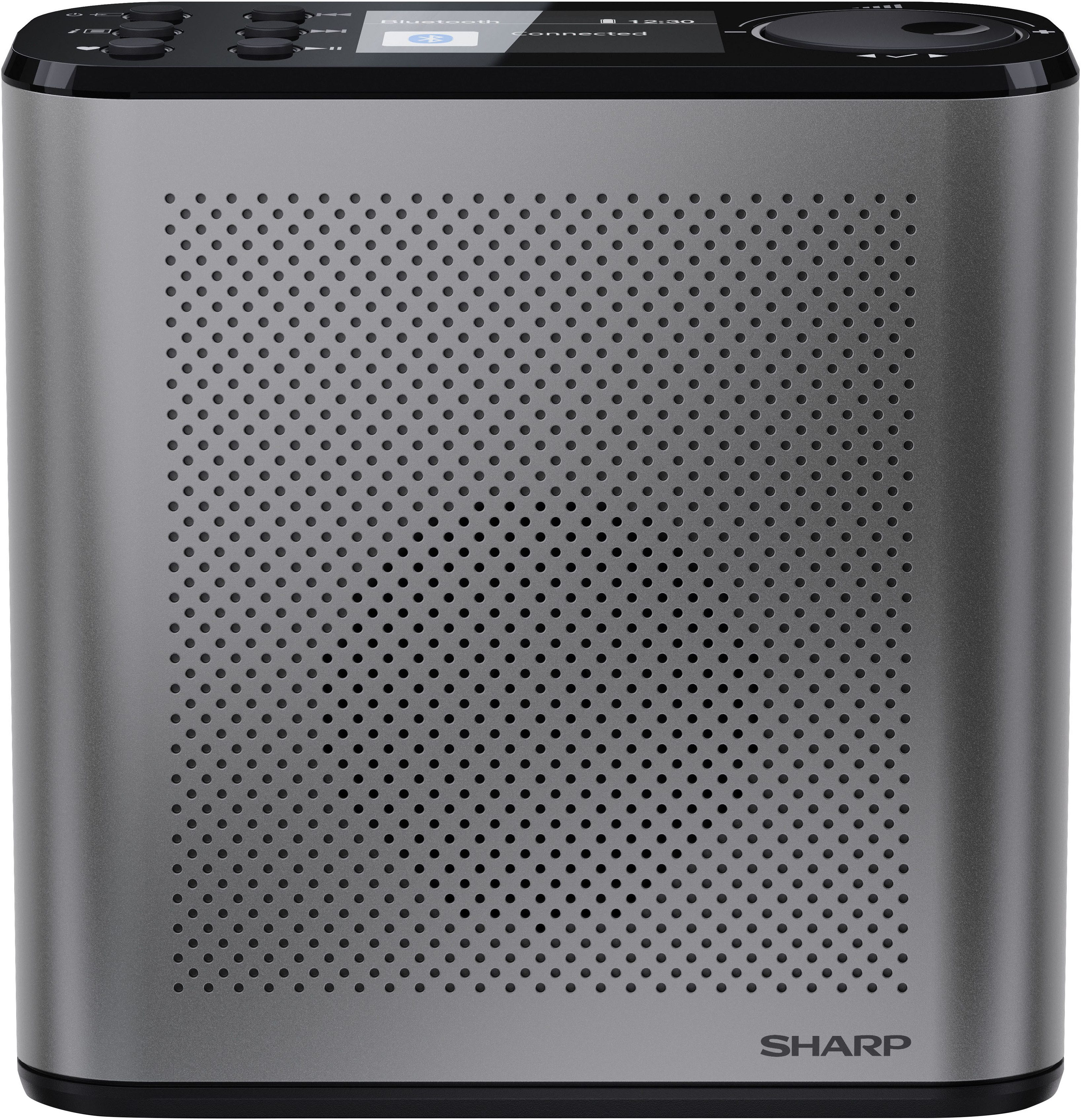 Sharp DR-P530(GY) Digitalradio (DAB) (Digitalradio (DAB), UKW mit RDS)