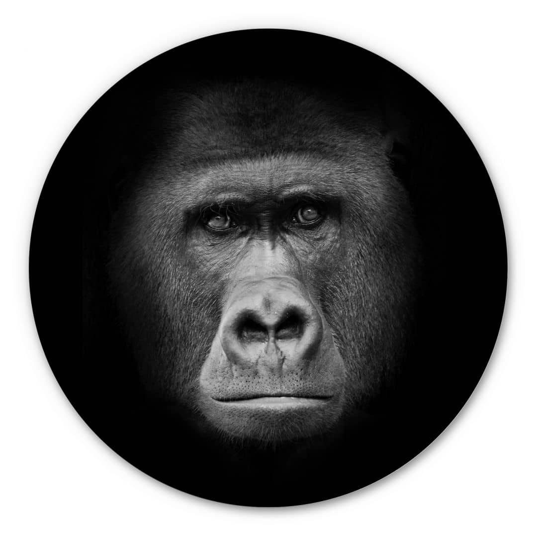 K&L Wall Art Alu-Dibond-Druck Safari Metallbild Wald- und Dschungeltiere Wandbild aus Metall, Safari Tierfotografien auf Alu-Dibond, Fotokunst Tierposter Indoor & Outdoor Metallschild inkl. Wandhalterung