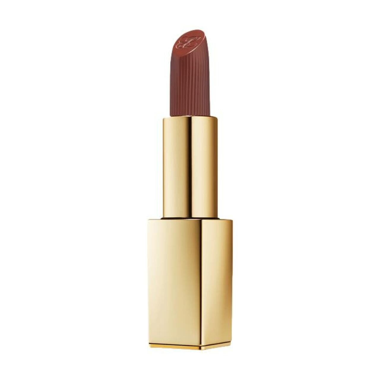 Lippenstift Pure Color Matte Lipstick
