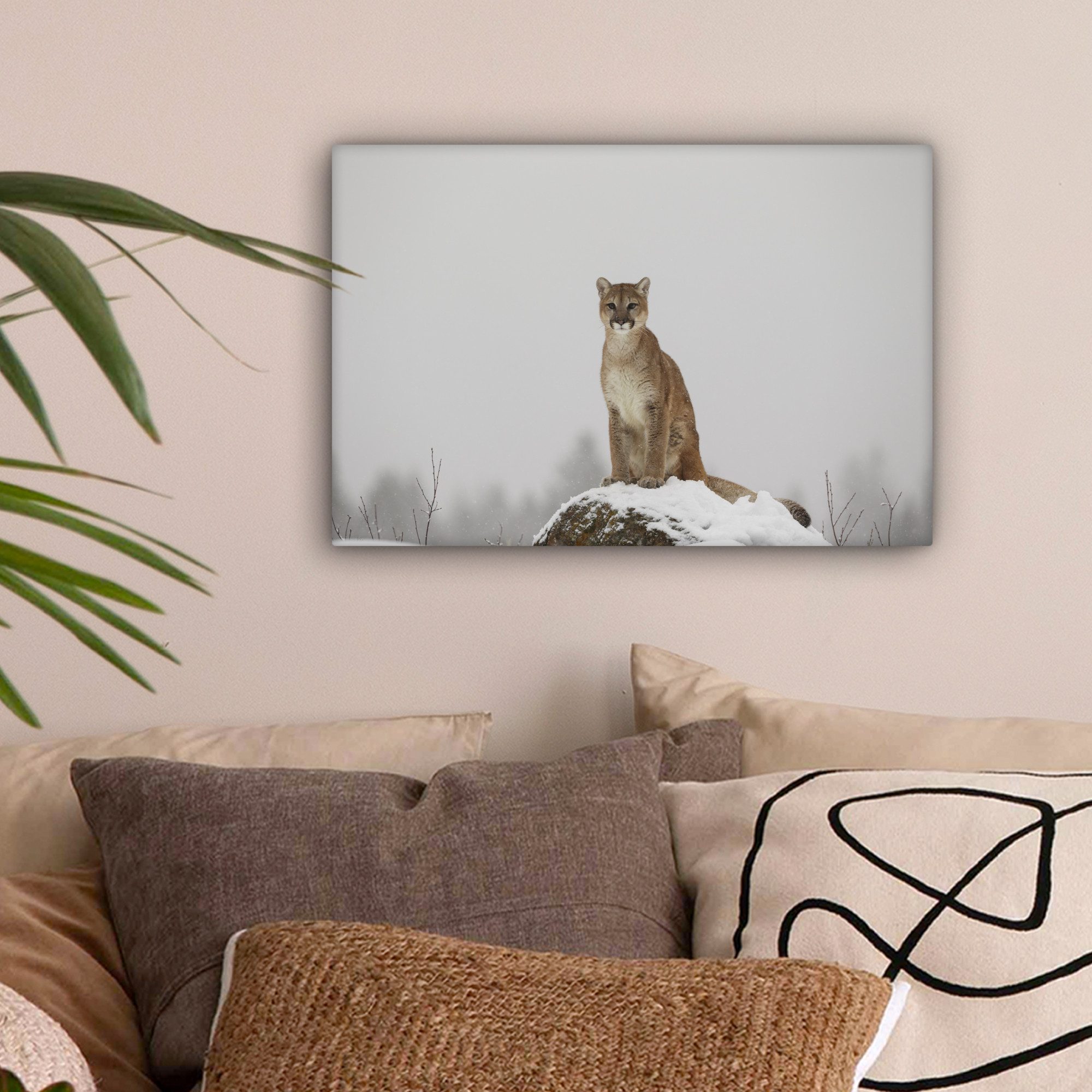 OneMillionCanvasses® Leinwandbild Puma auf der Suche, Fotodruck (1 St), Lei günstig online kaufen