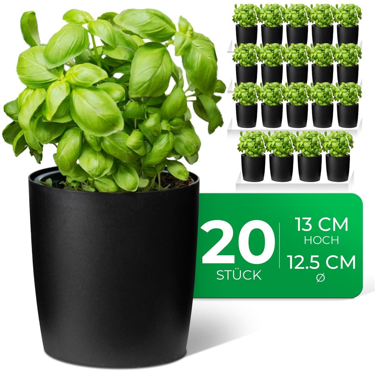 Novaliv Kräutertopf - (20 St), 20x günstig online kaufen