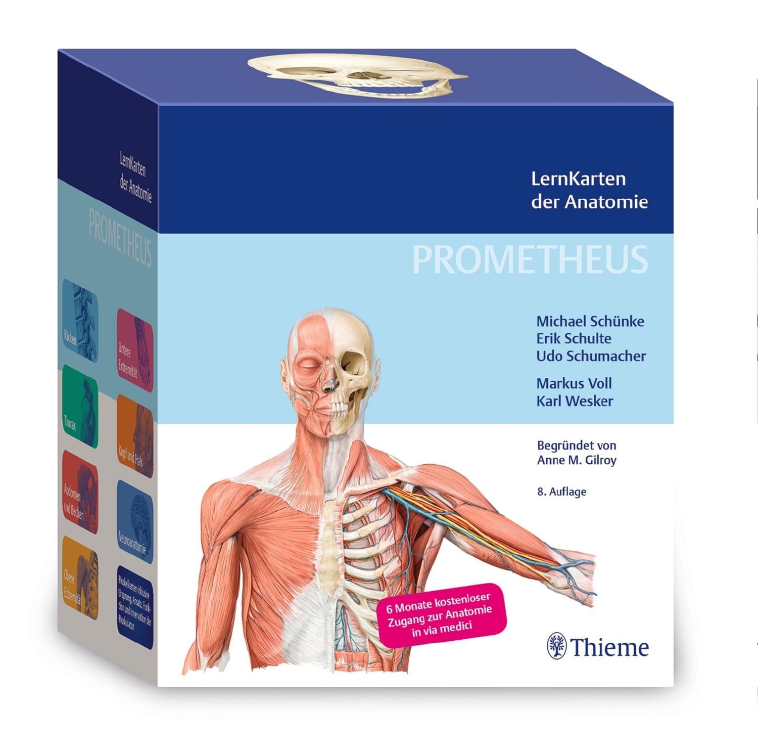 PROMETHEUS LernKarten der Anatomie / Michael Schünke, Erik Schulte, Udo Schumacher