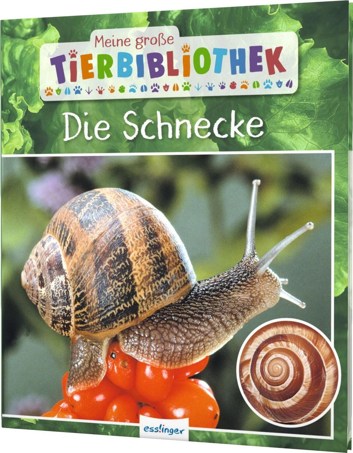 Meine große Tierbibliothek: Die Schnecke / Paul Starosta