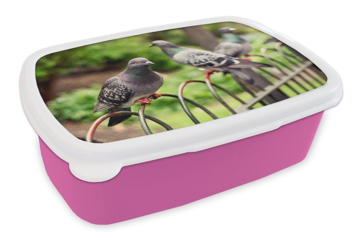 Kunststoff Park, (2-tlg), Brotbox Snackbox, MuchoWow Brotdose für Mädchen, in einem Erwachsene, Zaun rosa Tauben Lunchbox einem auf Kinder, Kunststoff,