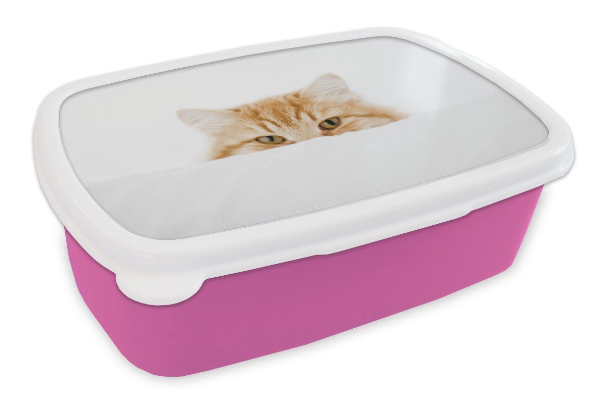 MuchoWow Lunchbox Katze - Rot - Weiß - Mädchen - Jungen - Kind, Kunststoff, (2-tlg), Brotbox für Erwachsene, Brotdose Kinder, Snackbox, Mädchen, Kunststoff rosa
