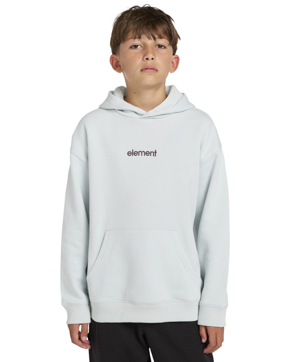 Element Hoodie Simple Logo günstig online kaufen