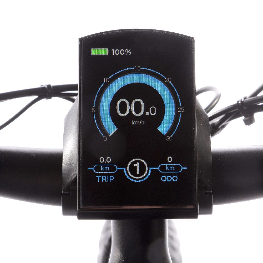 JOBOBIKE E-Bike Mountain Bike 26x4 inch for men and women, Robin Mountain Bike 624Wh, max. 100km range, 7-speed Shimano, derailleur gears, rear motor, 624 Wh, (load capacity: 130 kg, aluminum frame, removable battery), pedelec MTB with fat tires for all terrains, 5 adjustable levels