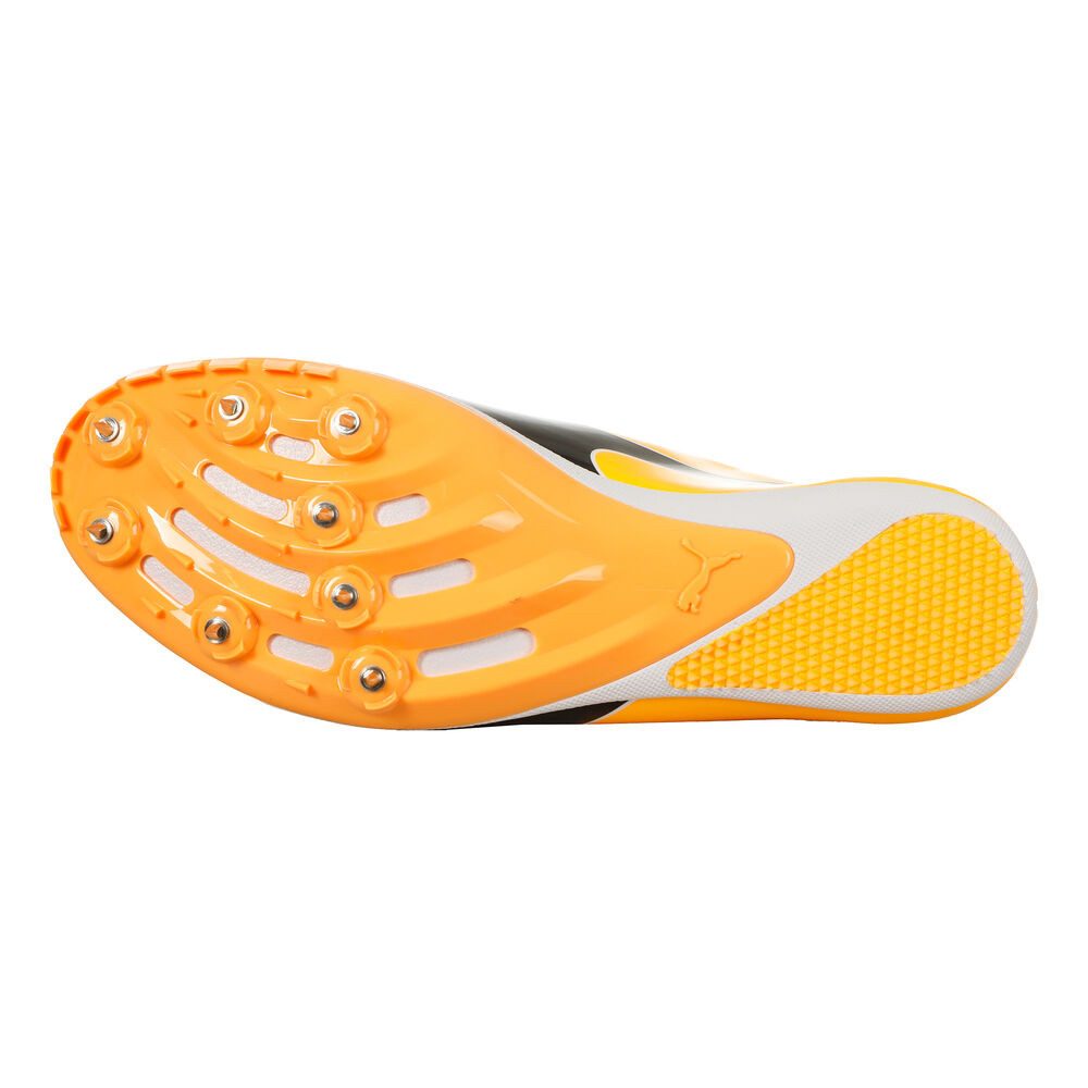 PUMA Evospeed Sprint 14.5 - Spikeschuh Laufschuh